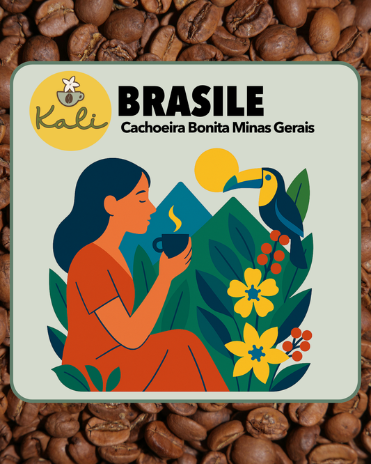 Brasile Cachoeira Bonita Minas Gerais 200 gr