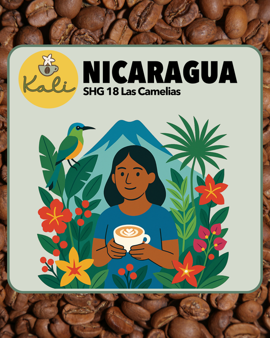 Nicaragua SHG 18 Las Camelias 200 gr
