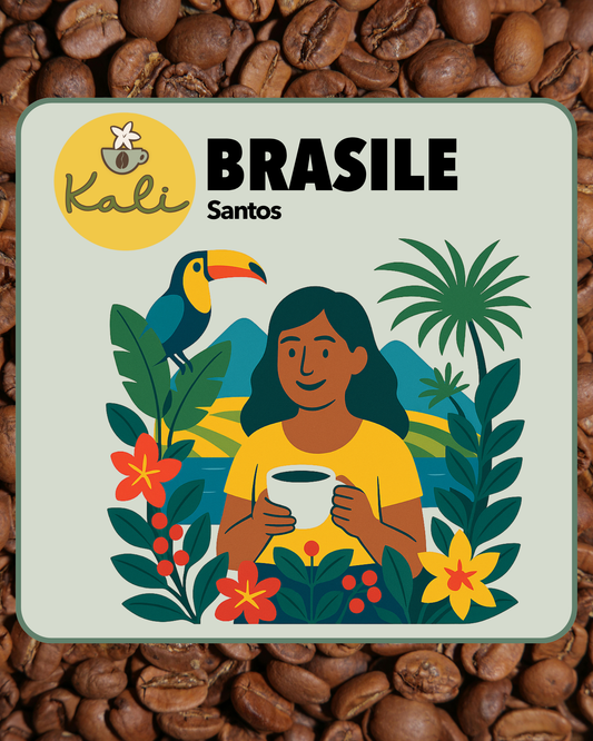 Brasile Santos 100% Arabica 200 gr