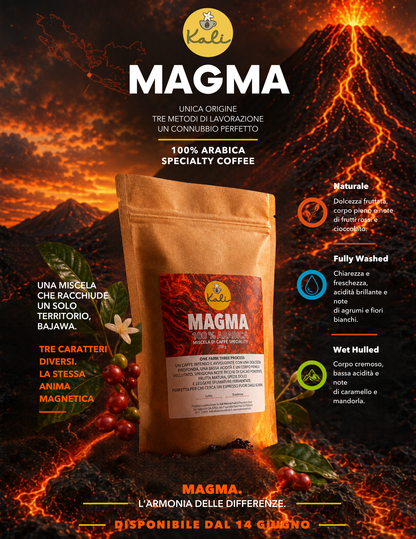 Miscela Magma 200 gr - 100% Arabica SPECIALITY